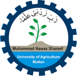 MNS University of Agriculture Multan logo