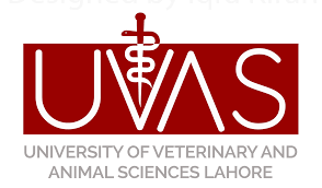 The University of Veterinary & Animal Sciences (UVAS) logo