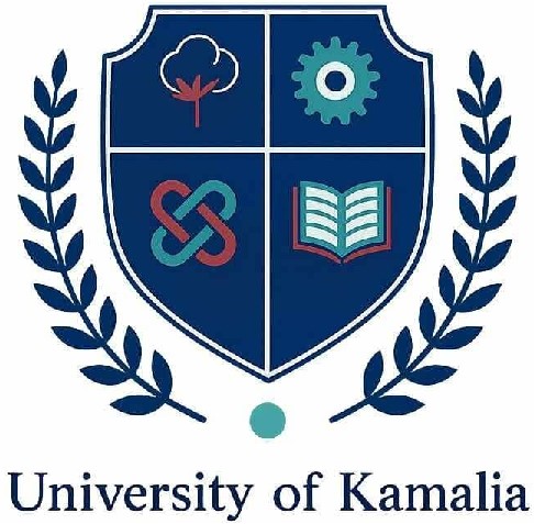 UKM - University of Kamalia, Toba Tek Singh logo