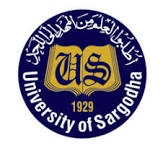 University of Sargodha logo