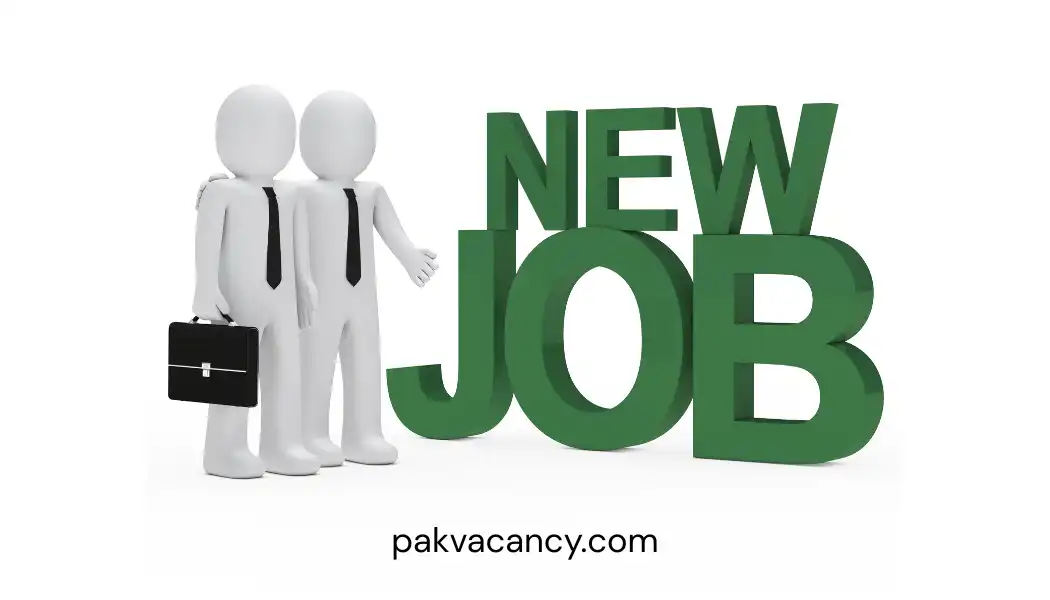 Junior Software Engineer