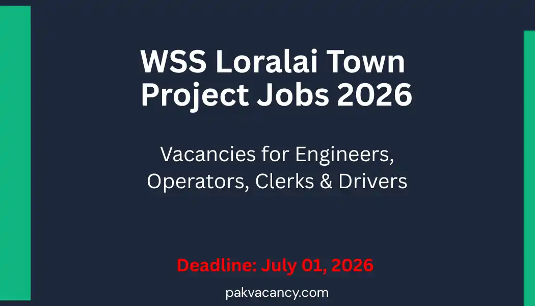PHE Balochistan WSS Loralai Town Jobs 2026 – Project Staff Vacancies